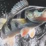 3D perch mat Image 5
