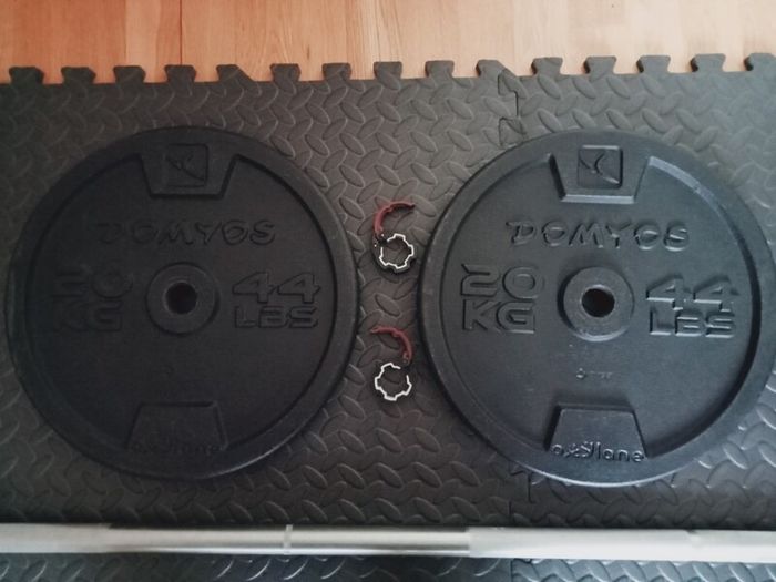 20kg Weight Plates and Barbell (Decathlon)