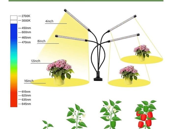 Grow lights for indoor plants