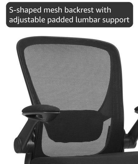 Home Office and Student chair (have 2)