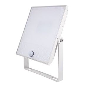White Floodlight with Sensor