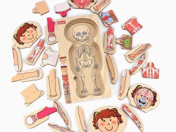 Educational Toy ; Wooden (947)  2