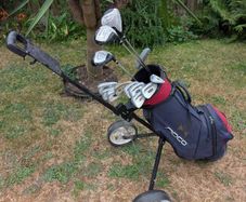 Cheap set of golf clubs and trolley