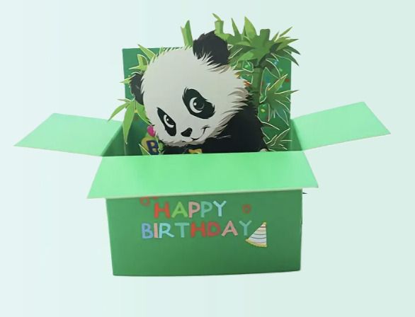 Pop-up Birthday Card