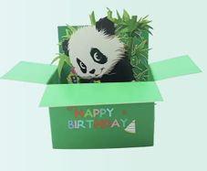 Pop-up Birthday Card