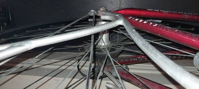 bicycle newport