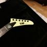 James Hetfield Explorer Image 2
