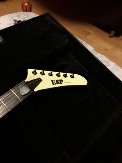 James Hetfield Explorer