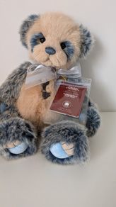 Charlie bears koko