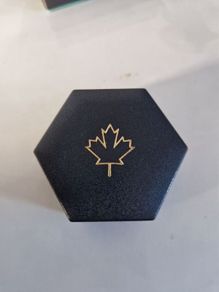 24 carat gold maple brochure