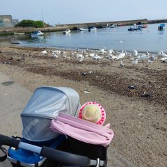 Bugaboo donkey duo with lots of extras!