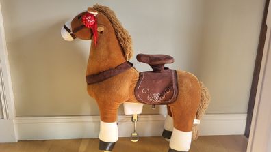 Pony cycle