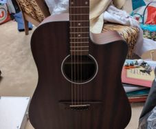 D'Angelico semi acoustic