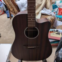 D'Angelico semi acoustic