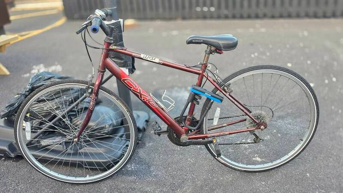 Apollo CX10 Hybrid Bike