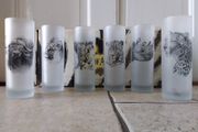 SALE ------- Out of Africa - Vintage Set of The Big (6) Frosted Tumblers