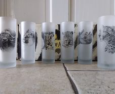 SALE ------- Out of Africa - Vintage Set of The Big (6) Frosted Tumblers