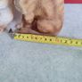 SET OF 2 Orange Cat Sitting. Image 5