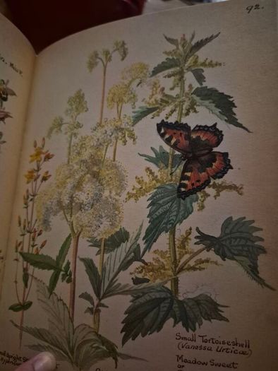 Vintage The Country Diary of an Edwardian Lady