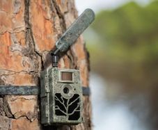 ZEISS Secacam 5 Wildlife Camera