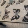 Butterfly cushion cover Image 2