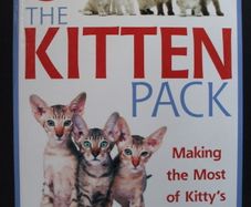 SALE!  THE KITTEN PACK - Making the Most of Kitty's First year - 2 books + DVD by Claire Arrowsmith