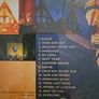 Foo Fighters - Skin And Bones. Image 2