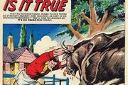 Valiant January 17, 1970 - IPC  Magazines-UK Vintage Comic