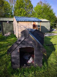 Two large dog house