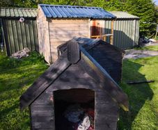 Two large dog house