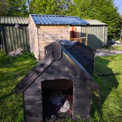 Two large dog house