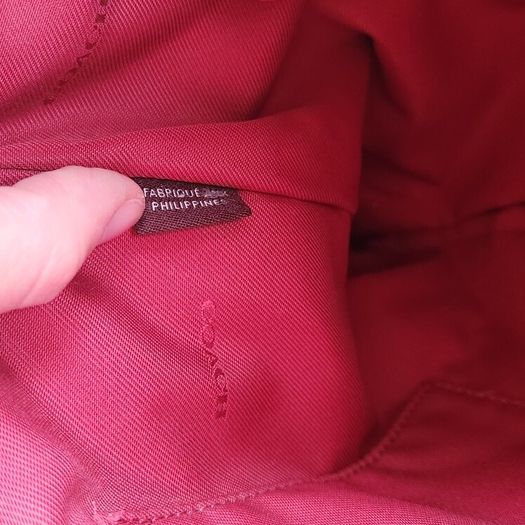 Coach crossbody bag (new)
