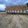 Straw Image 3
