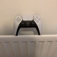 ps5 Controller
