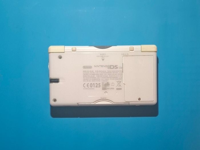 DS Lite with R4 Cartridge