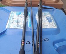 carp fishing rods