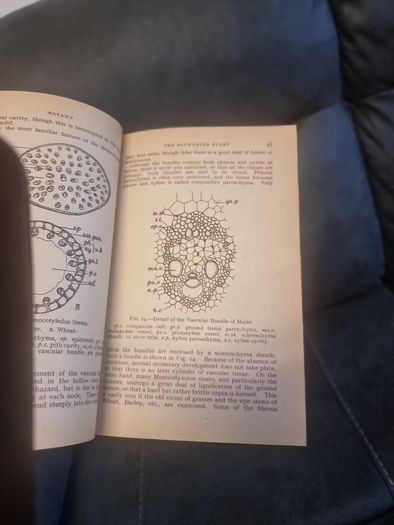 Teach Yourself  Botany