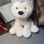 big dog teddy Image 2