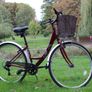 Apollo Cafe Ladies City Bike 6 Speed Large Basket 28 inch Wheels Image 3