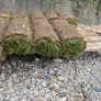 rolled grass Image 2