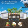 FREE EXPRESS SHIPPING  Raised Garden Bed Kit, Sliver Galvanized Raised Planter Box Outdoor for Vegetables, Large Bottomless Metal Raised Bed for Herb, Growing Fruits, Flower (4x2x1 ft) Image 4