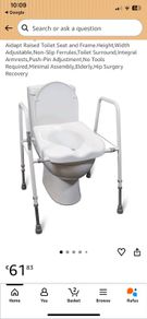 raised toilet seat