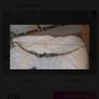 Recurve Bow Image 3