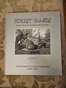 Forest Images. Fr Browne's Woodland Photographs From Emo Court Co Laois. Fabolous FIRST EDITION Large Volume Hardback In Good Condition.  See Photos For Same.