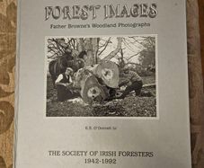 Forest Images. Fr Browne's Woodland Photographs From Emo Court Co Laois. Fabolous FIRST EDITION Large Volume Hardback In Good Condition.  See Photos For Same.