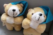 SnowBall Twin Teddy Bears Like New Plush Toys Teddies Comforter