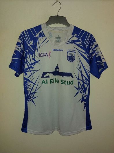 waterford gaa jersey