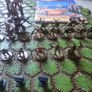 Heroscape Master Set: Rise of the Valkyrie Image 5