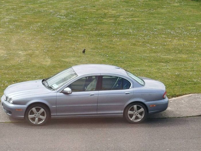 Jaguar X type