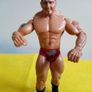 WWE Wrestlers Batista The Animal action Image 3